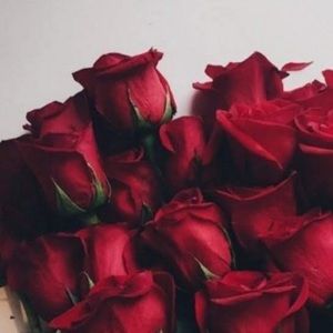 Meet your Posher, Ella